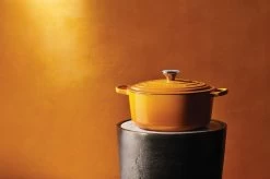 Le Creuset Signature Braadpan 3,3 Liter ø 22 Cm Gietijzer Nectar -Winkel voor professionele keukenbenodigdheden le creuset braadpan 1